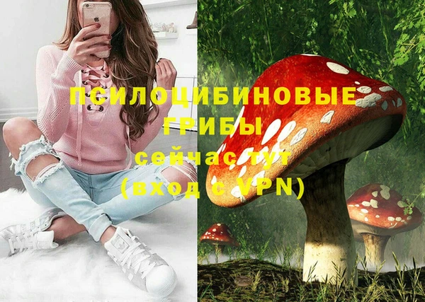 прущая мука Гусев