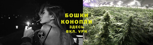прущая мука Гусев