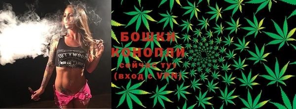 мяу мяу мука Гусиноозёрск
