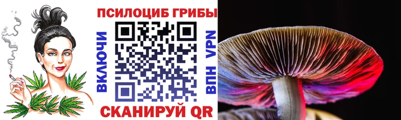 Купить закладки  Хилок  Псилоцибиновые грибы Psilocybe 